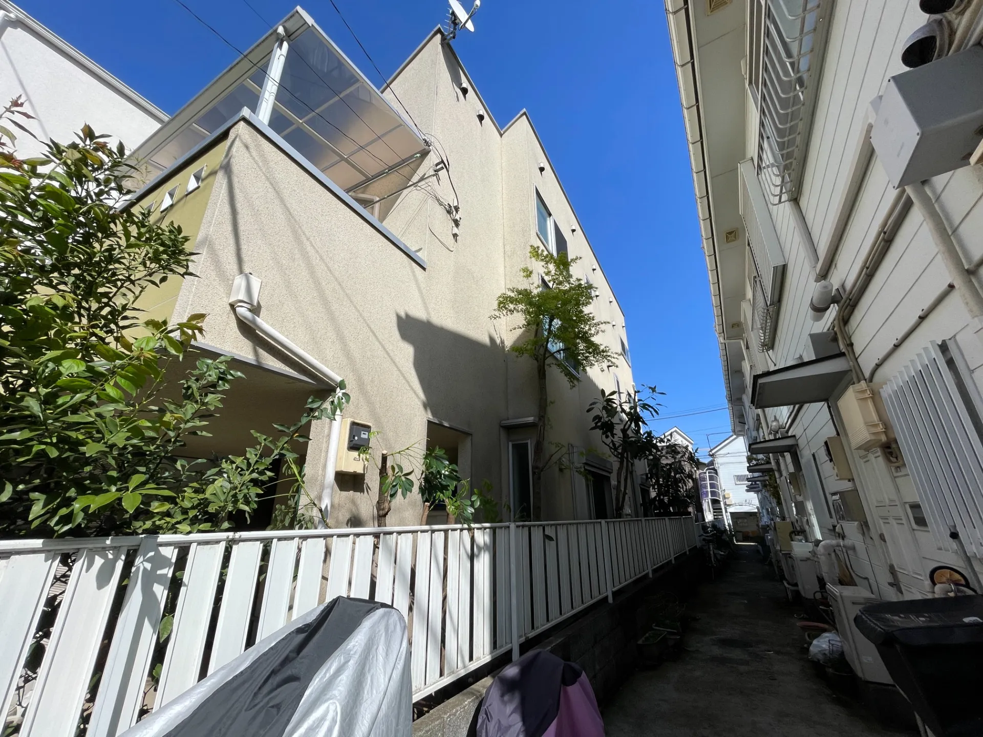 樹木剪定伐採 世田谷区 個人邸